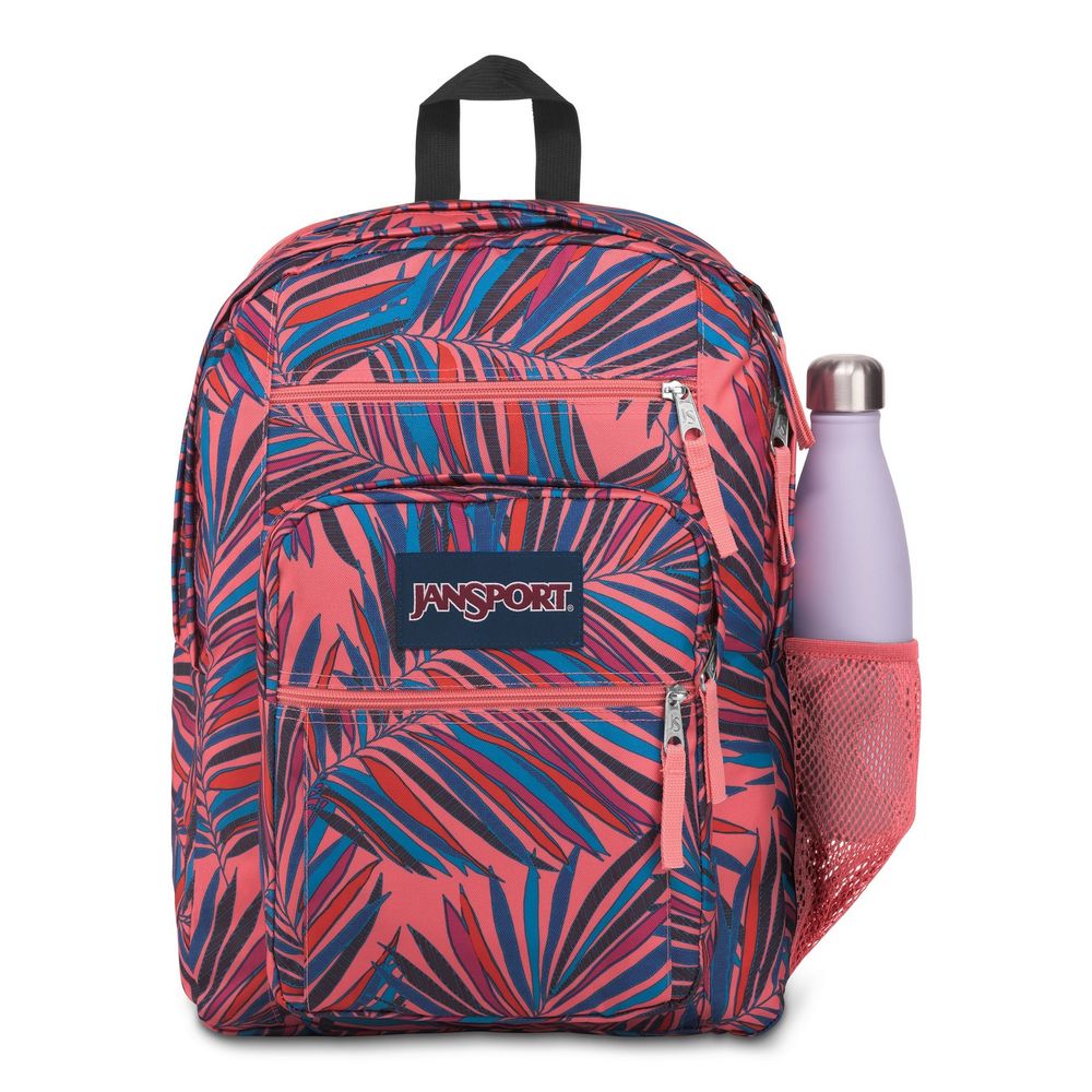 jansport large