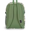 Morral-Main-Campus-Verde